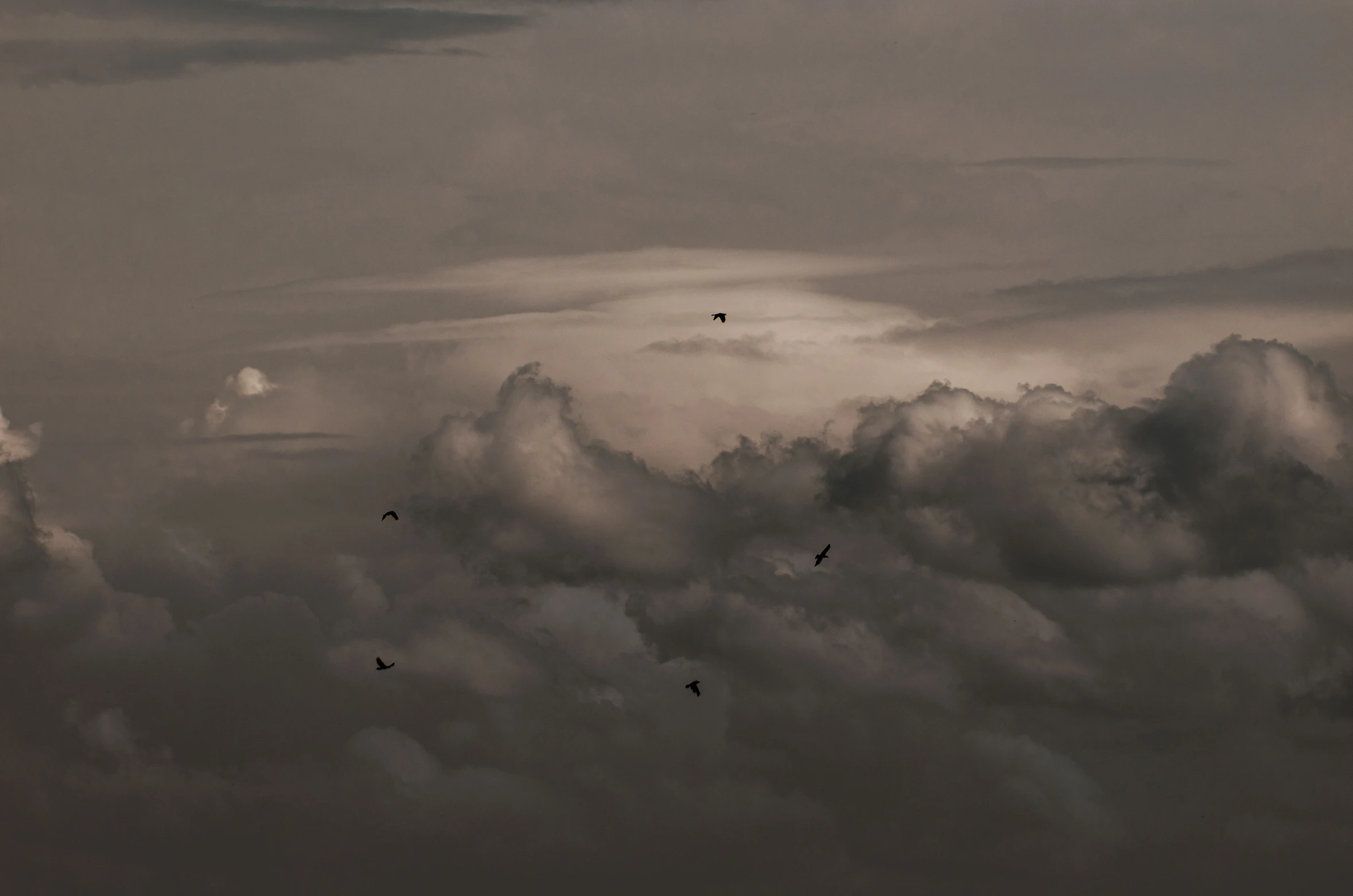 black and white pograph of clouds with birds flying