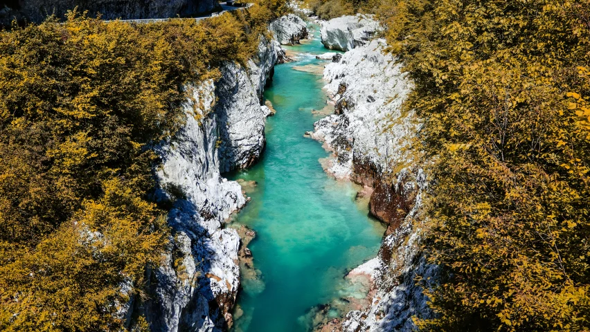 a stream near a rocky mountain valley is surrounded by trees