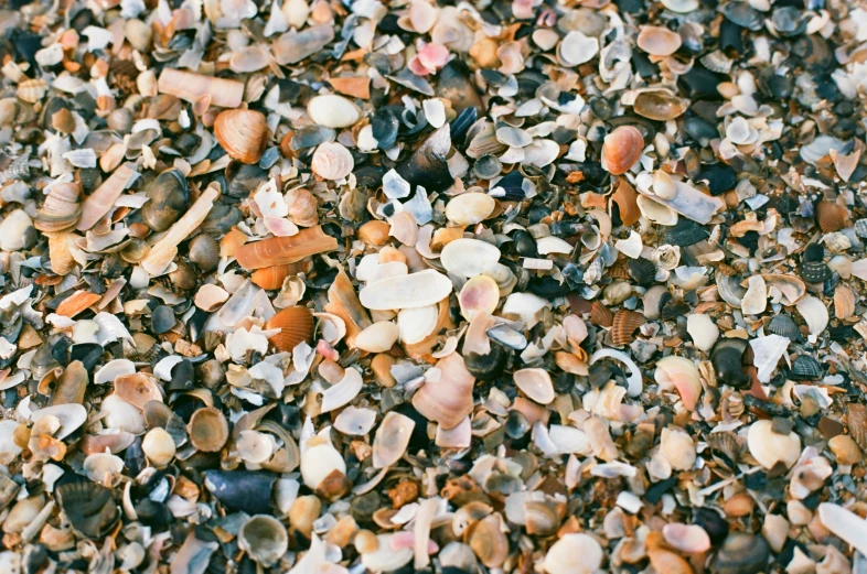 pebbles and pebbles are laying on the ground