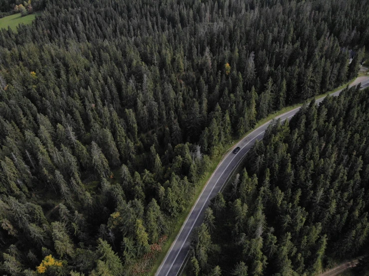 an aerial view shows a road with two separate sides in a forested area