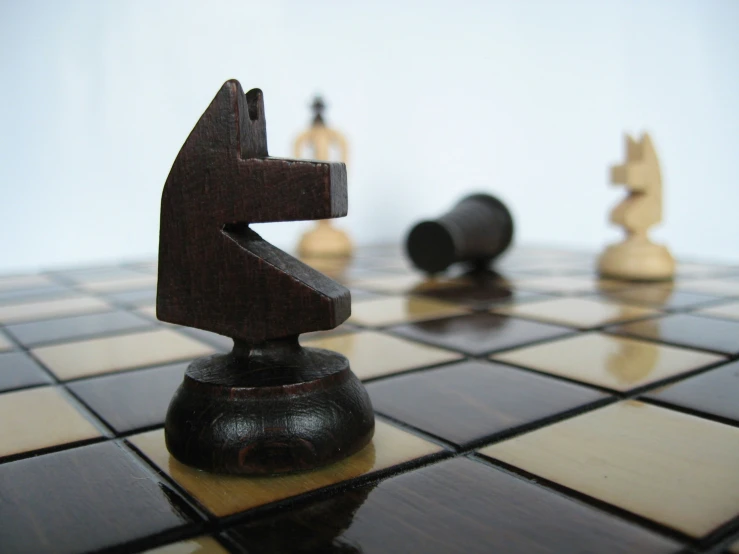 the chess board has black pieces standing out