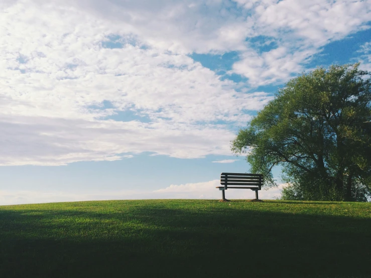 the lone bench sits at the top of a hill