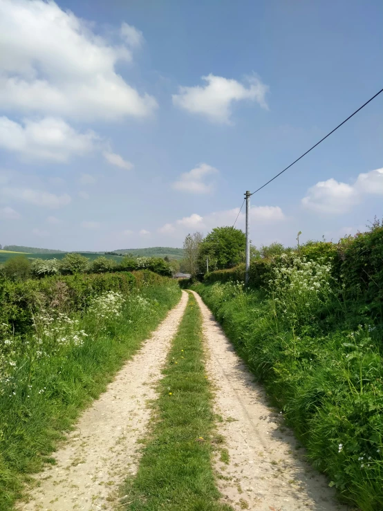 a road is in between two green fields