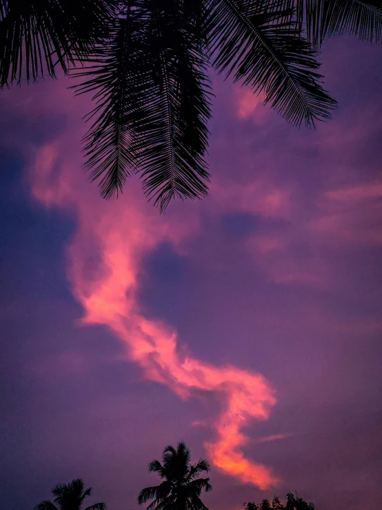 a red and yellow sky with palm trees and pink clouds