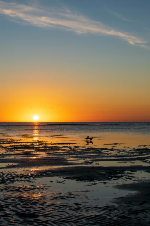 a surfer in silhouette on a beautiful sunset