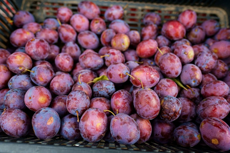 the purple plums are sitting in a basket