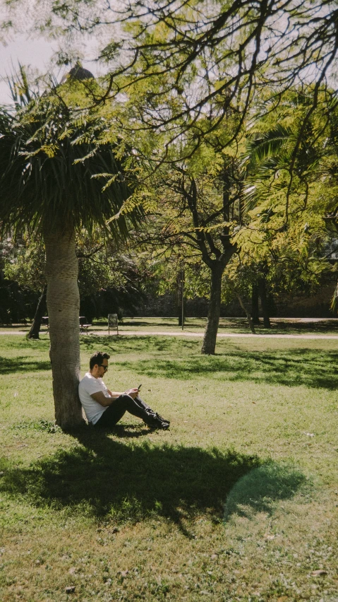 a man sitting on the grass under a tree