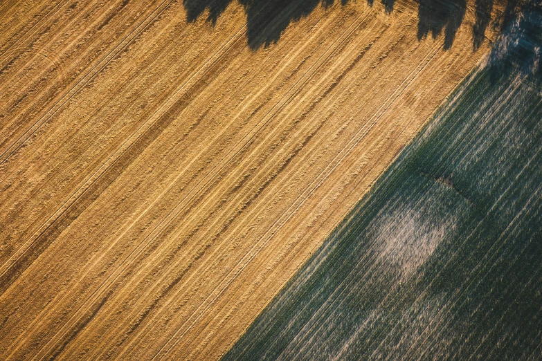 a view of a field from above