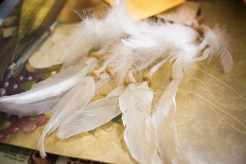 some feathers on top of a table that are on a magazine