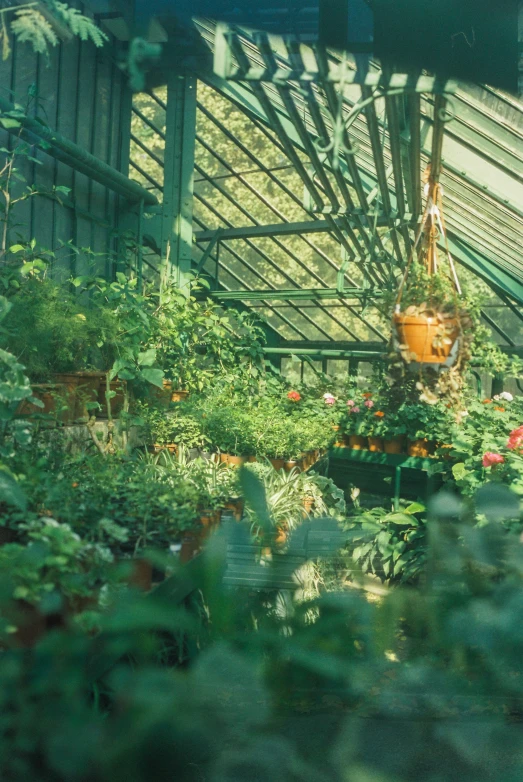 greenhouse with flower bed and growing area