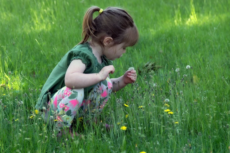 a  crouches in the grass and touches a flower