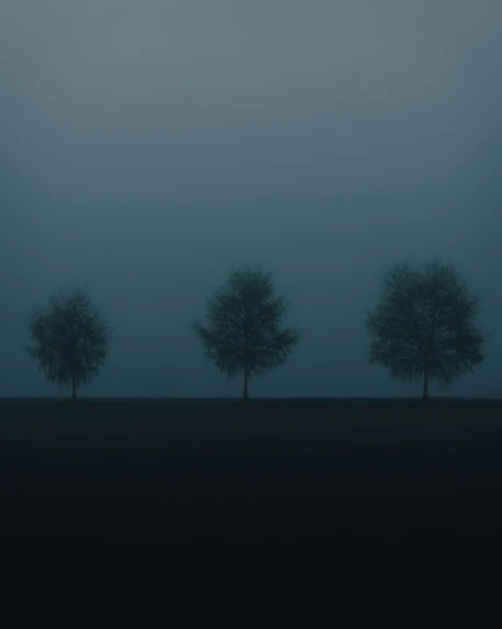 three trees are silhouetted against a dark sky