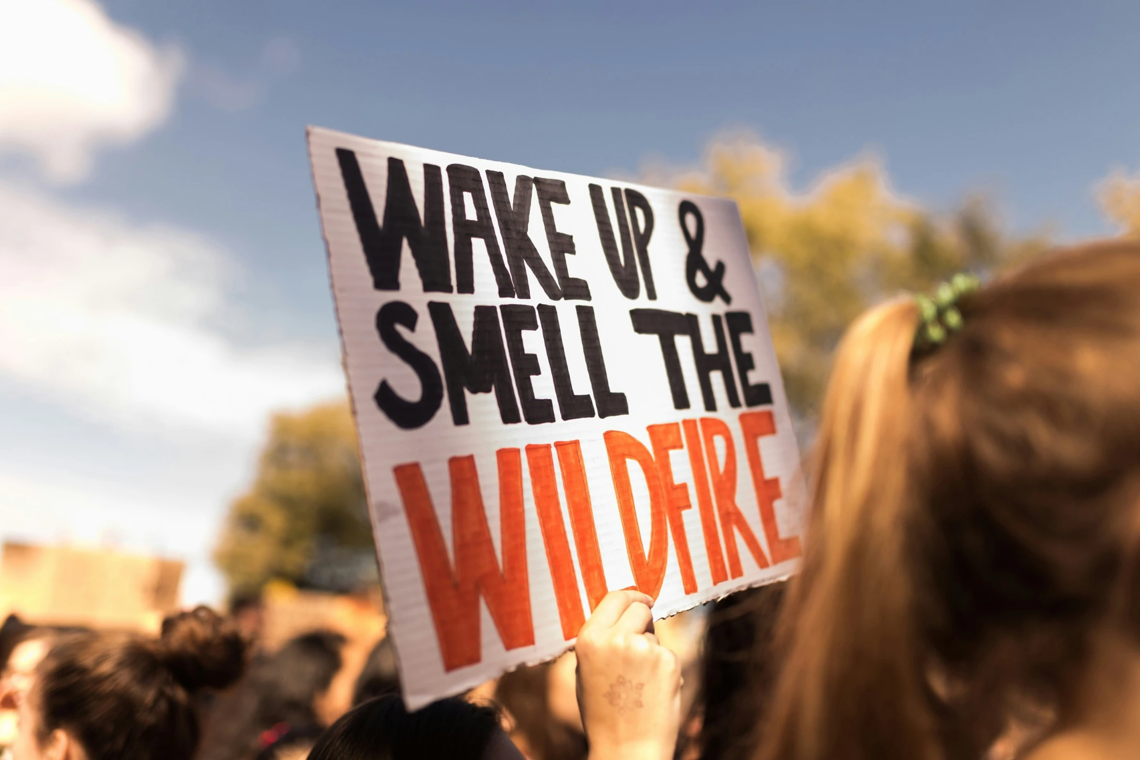 people hold up signs while protesting a wildfire