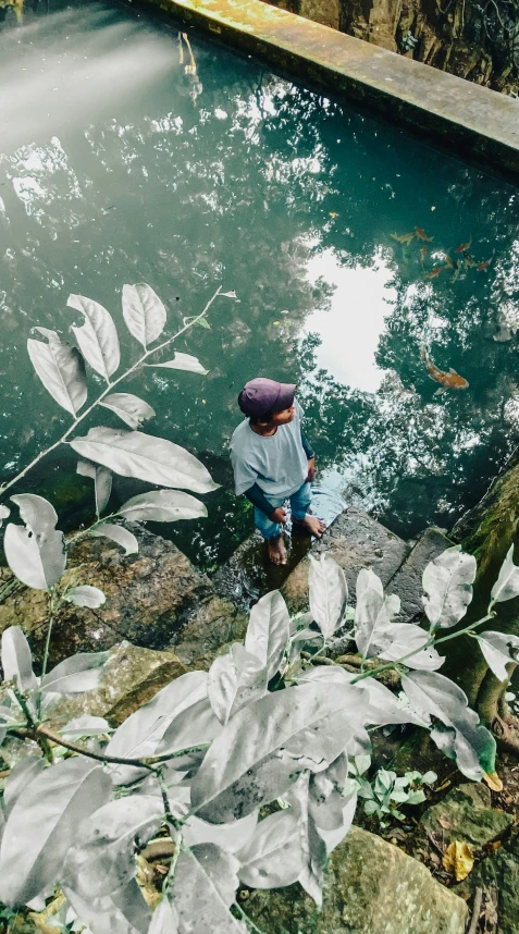 a  sits in the rocks near a pond