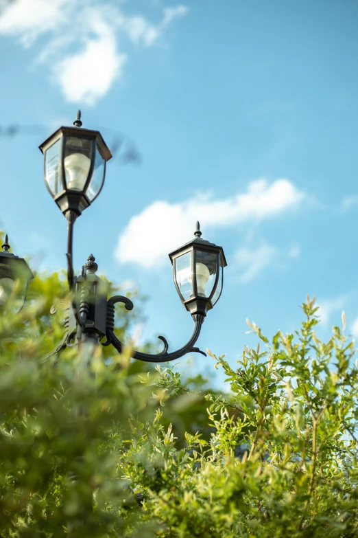 old street lights on a tree nch outside in the sun