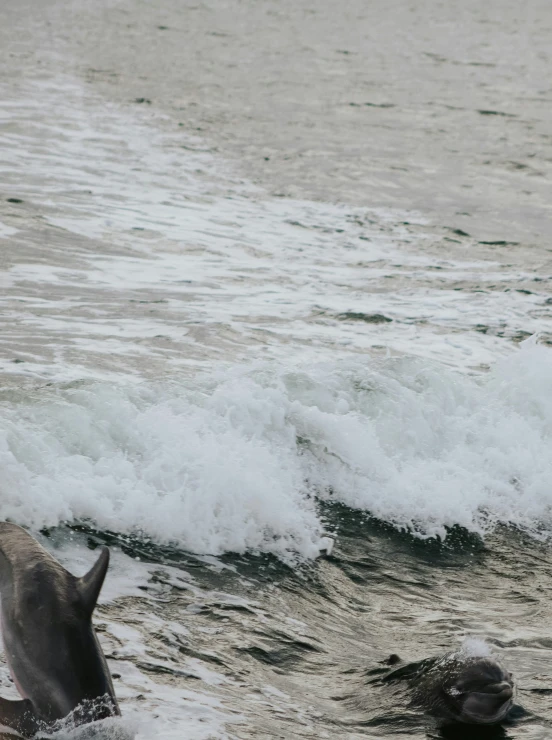 the two people are riding horses into the waves