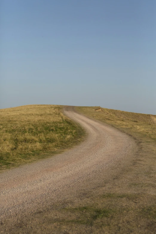 an elephant walks along the trail in the wilderness