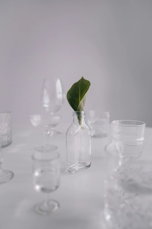 a bunch of empty glass and a green leaf sticking out of one vase