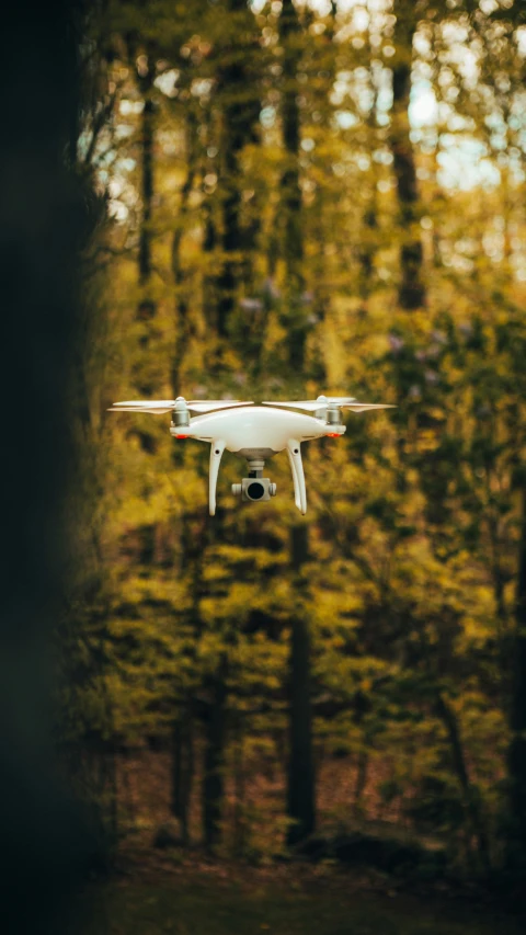 a white propeller plane flying through trees in the woods