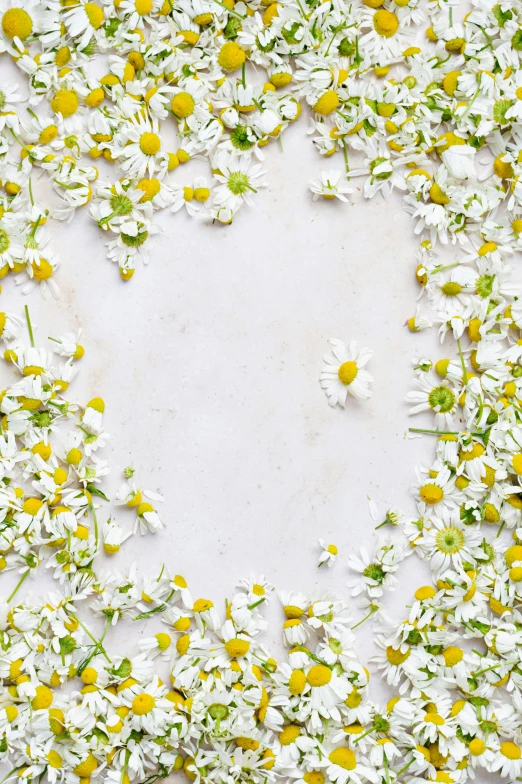 a white floral print with yellow center and white petals