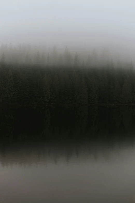 a black and white picture with trees reflected in it