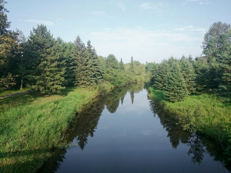 a small river running between green grass and trees