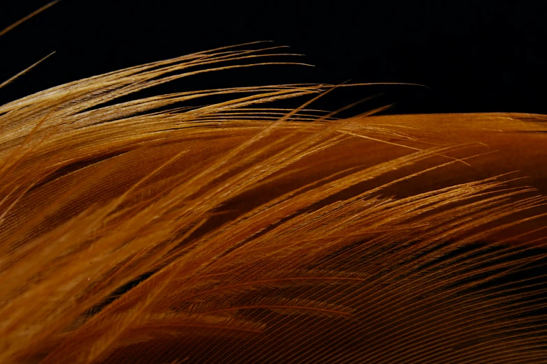 a blurry image of some long hair with black background