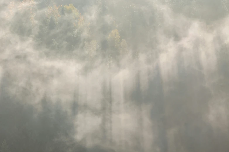 a hill and forest on a cloudy day