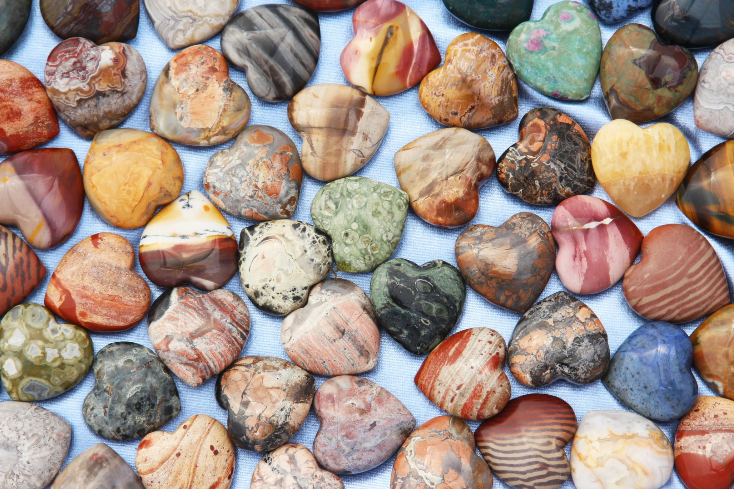 several large and small shells sitting on a surface