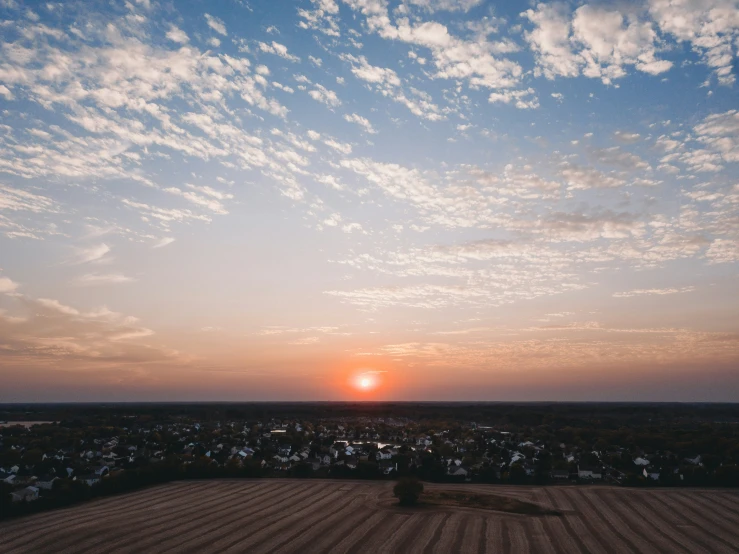 a field that has a lot of crops in it