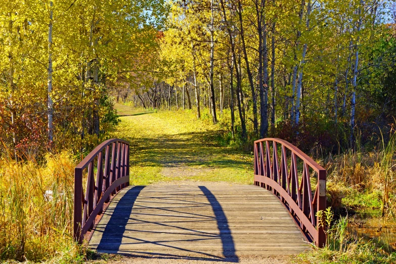 an image of a walkway with a sunlit bridge going over it