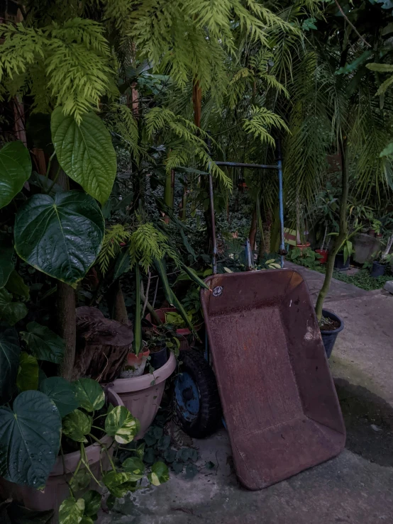 a piece of luggage sitting next to some trees and other plants