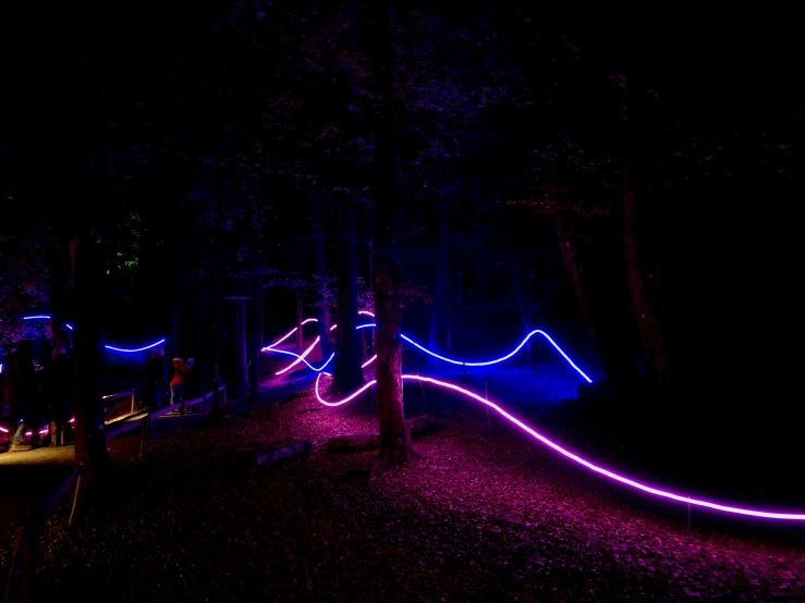 the trail lit up with blue and pink lights