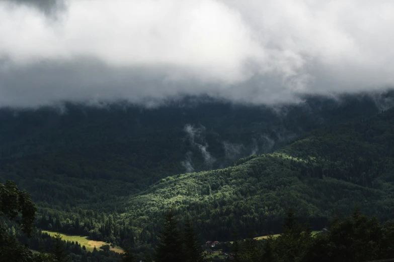 a mountain range with trees and a forest in the background