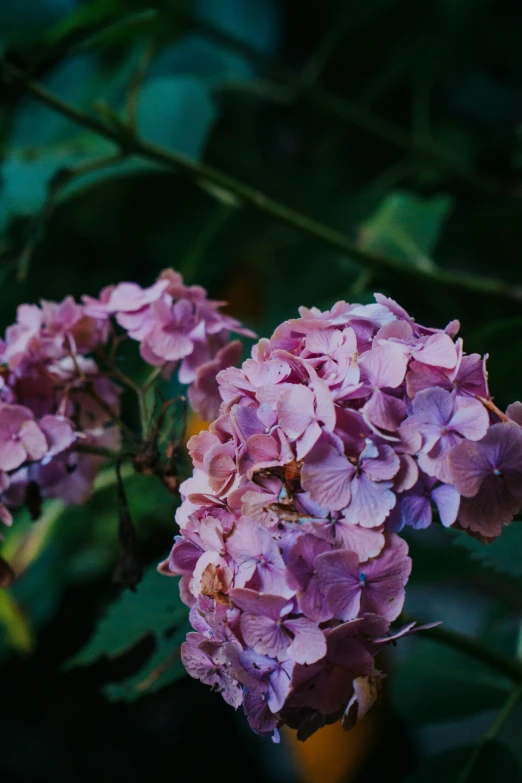 a bouquet of flowers in the middle of the day