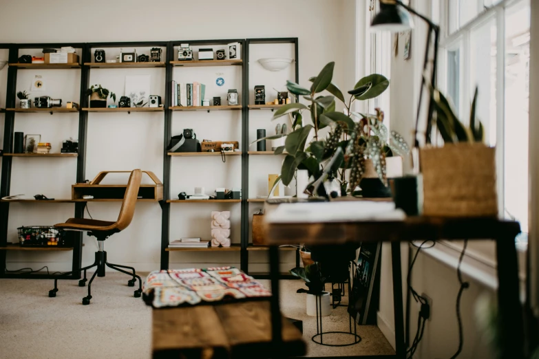 this living room has bookshelves and a desk