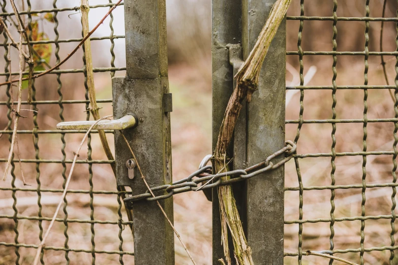 a pair of scissors are stuck between two fences