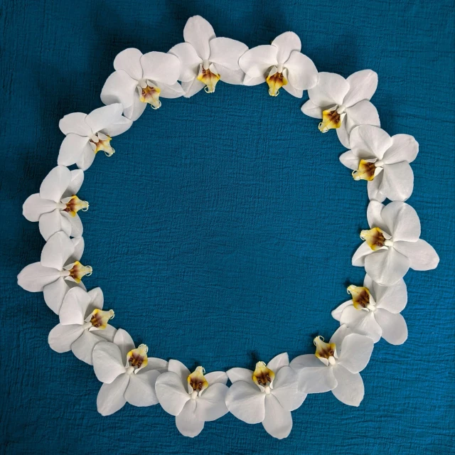 a wreath made of white orchids hangs on a blue blanket