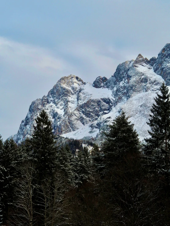 there are snowy mountains behind trees, blue sky