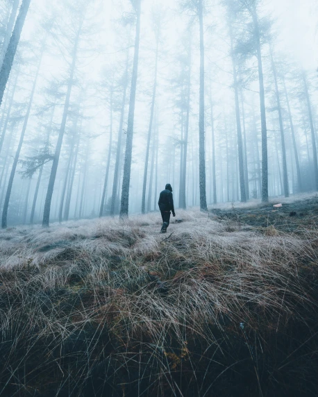 a man standing in the middle of a forest with trees in the fog