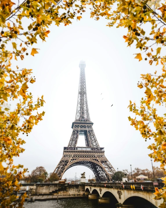 view through the tree nches to the eiffel tower in paris