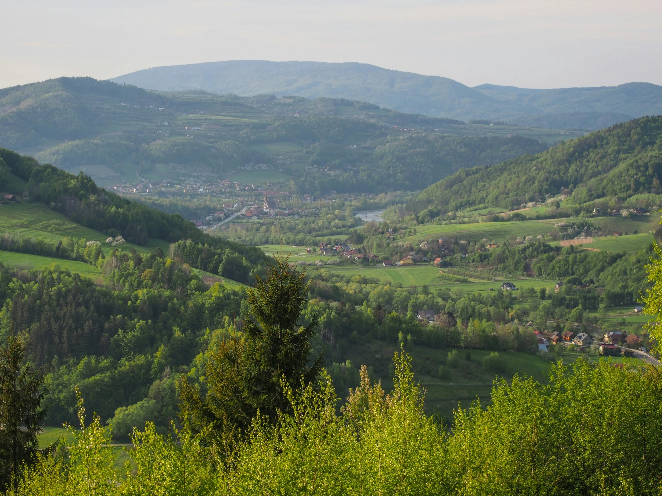 mountains covered in green vegetation with a valley below