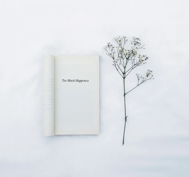 an open book next to small flower on a white surface