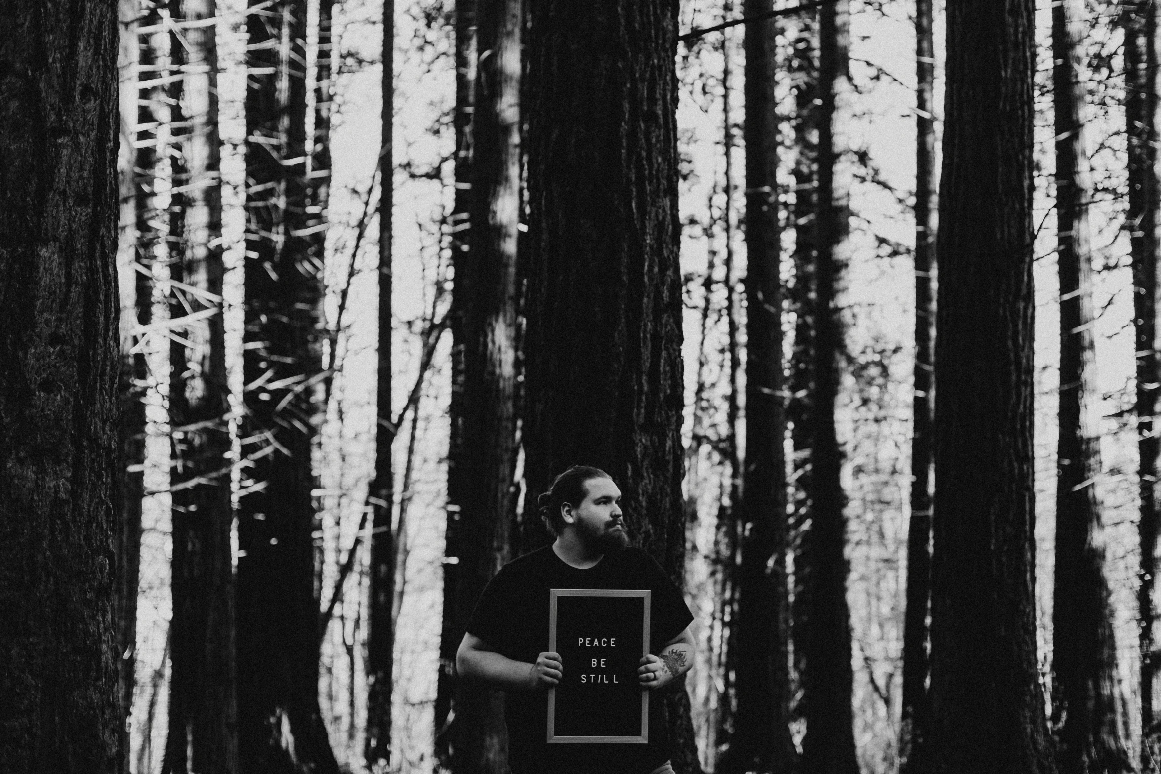 a man standing in the middle of a forest holding a plaque