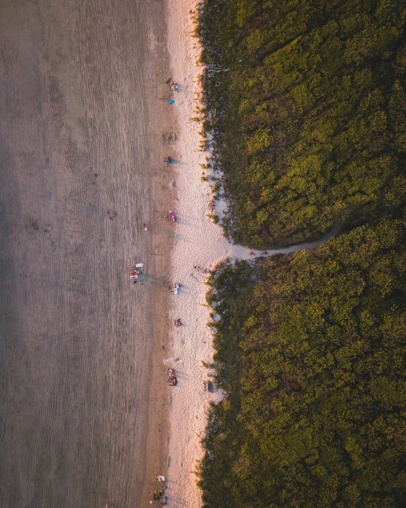 a body of water next to a sandy beach