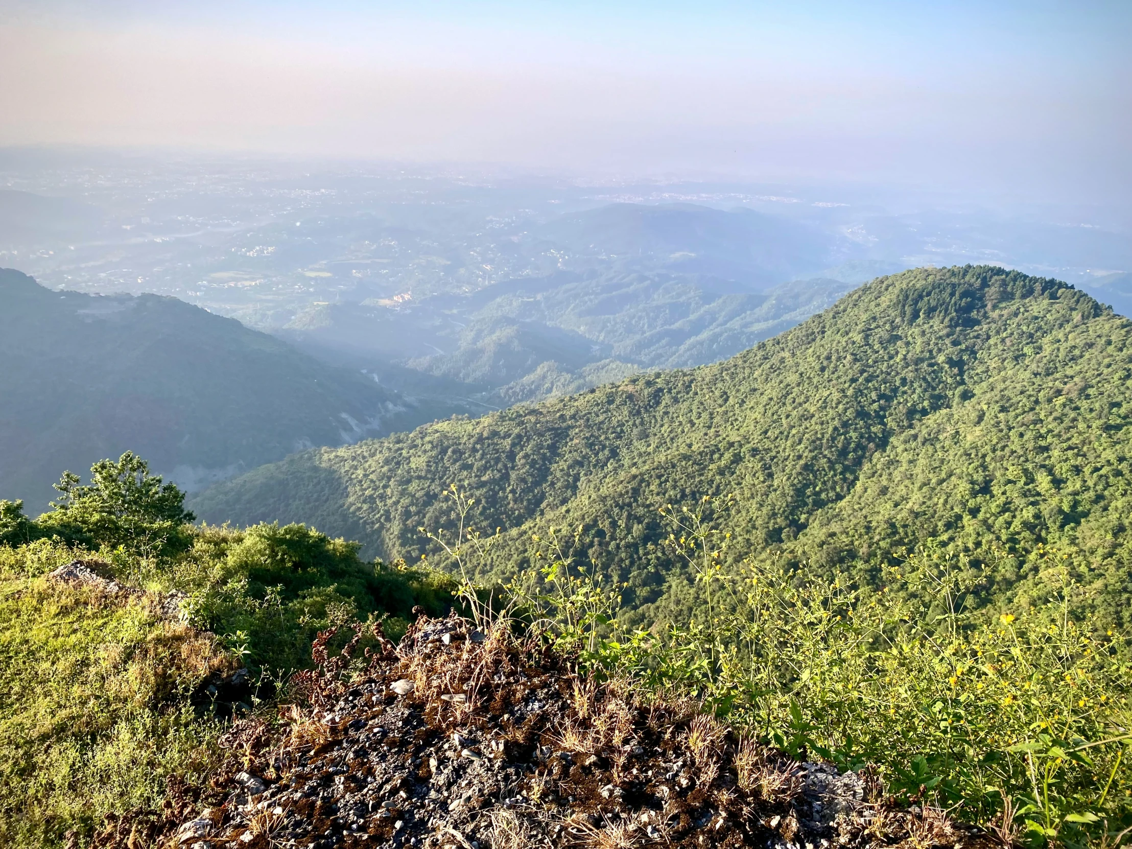 a view of mountains covered in trees on the side of a hill