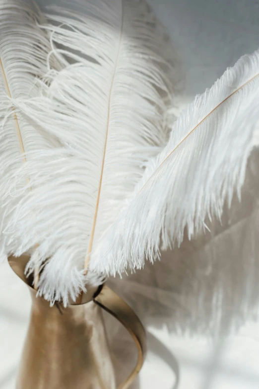 a close up of an open vase with white feathers