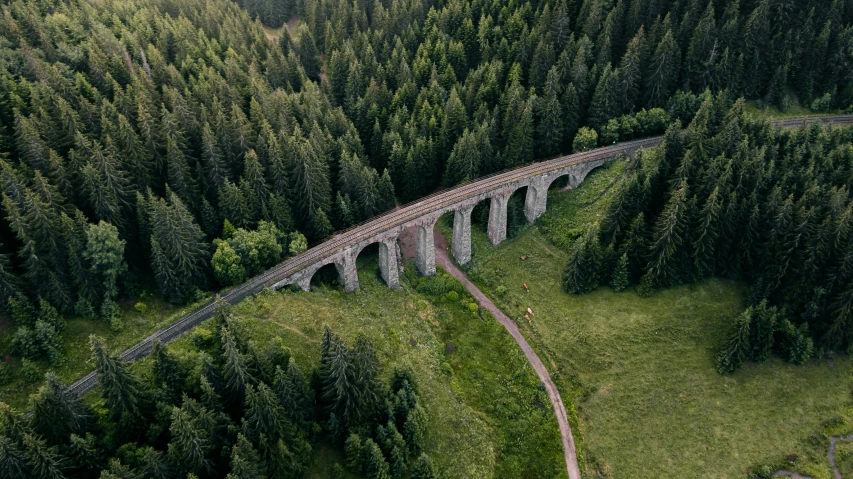 an aerial s of a train crossing over a track in the middle of the forest