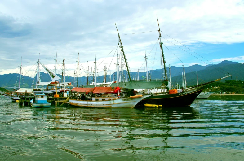 a group of boats floating in the ocean with mountains in the background