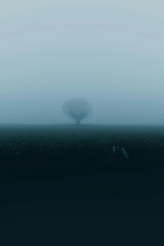 a lone tree stands alone in the middle of a dark field